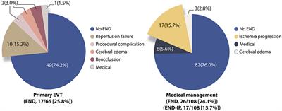 Predictors of Early Neurological Deterioration in Stroke Due to Vertebrobasilar Occlusion